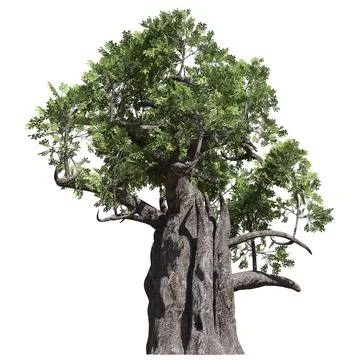 Fantasy tree 3d illustration isolated on white background Stock Illustration