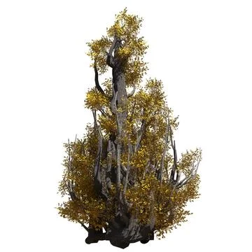 Fantasy tree 3d illustration isolated on white background Illustration