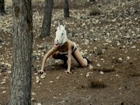 Fantasy Unicorn in the woods Stock-Footage 83932389