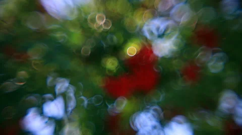 Fantasy vertical panorama of defocused foliage and red berries of rowan tree Stock Footage 58447062