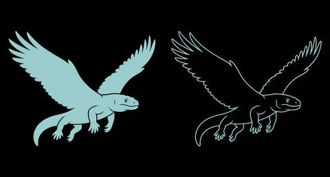 Fantasy winged creature dragon or lizard silhouette and outline on black 스톡 일러스트