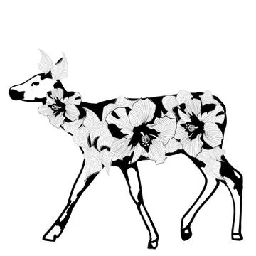 Fantasy young doe Illustrazione stock