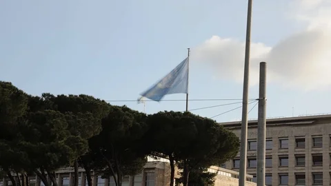 FAO FLAG TL DEFINITIVO Video stock 104817254