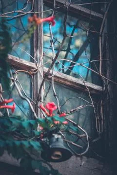 Far afield 스톡 사진