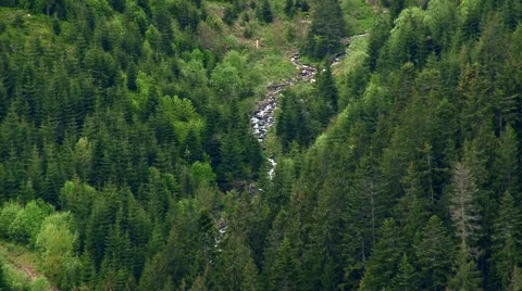 Far away in a forest river flows Stock Footage 69009060