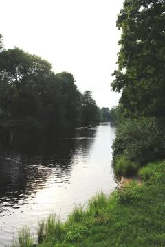 Far away river with trees on both coasts. Stock Photos