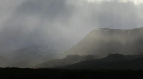  The Far East Video stock 568447