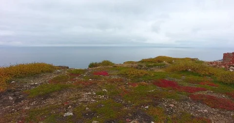 Far North. Beautiful cliffs by the sea Stock Footage 115667501