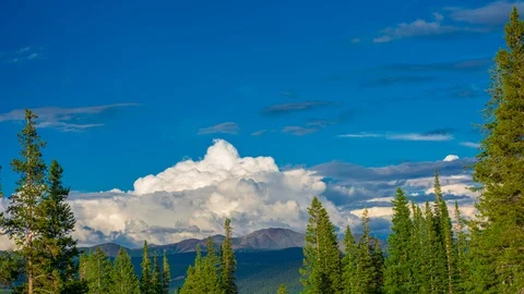 Far off rolling Clouds ontop of Mountain range with Pine Tips Time Lapse 4K Stock Footage 129357293