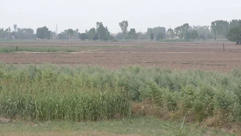 The far view of the fields in the farmlands Stock Footage 111887246