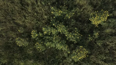 Fariview 5 Stock Footage 271197413