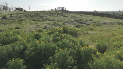 Fariview 9 Stock Footage 271198211