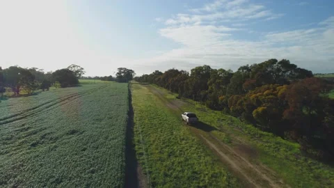 Farm 01 Stock Footage 163427174