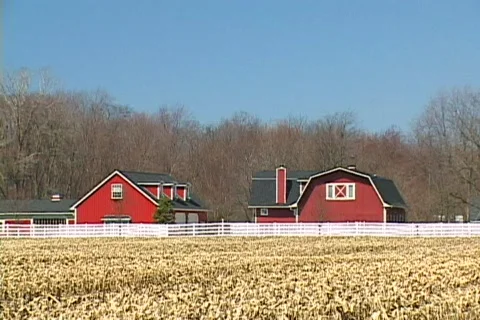 Farm 02 動画素材 367187