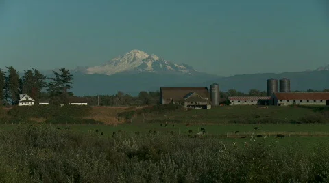Farm 1 Vídeos de archivo 273022