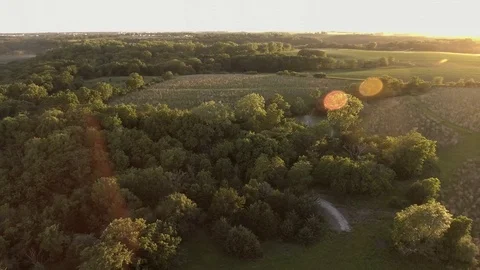 The Farm 1 Vídeo Stock 90548759