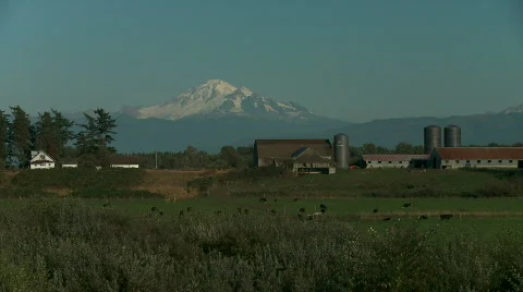 Farm 2 Vídeos de archivo 273032