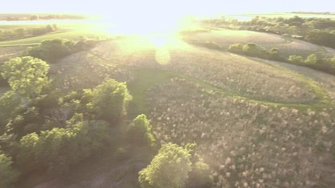 The Farm 2 Vídeo Stock 90548758