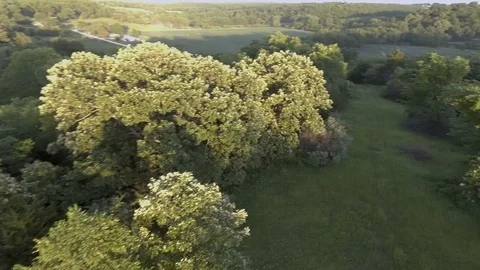 The Farm 3 Vídeo Stock 90548748