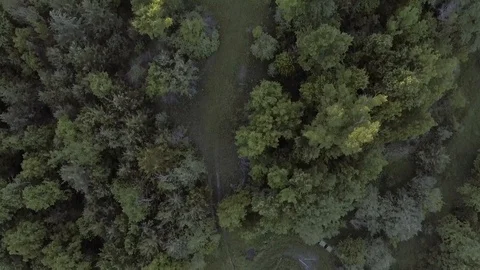 The Farm 4 Vídeo Stock 90548734