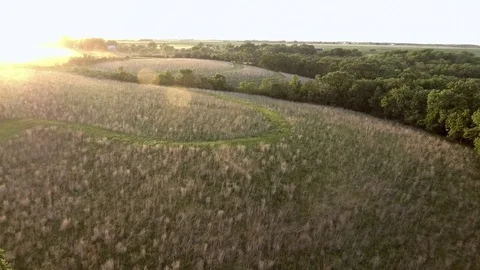 The Farm 5 Vídeo Stock 90548707