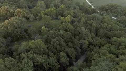 The Farm 6 Vídeo Stock 90548631