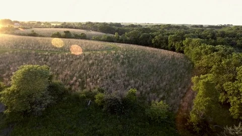 The Farm 7 Vídeo Stock 90548623