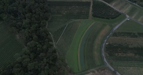 Farm From Above Stockbeeldmateriaal 128546103