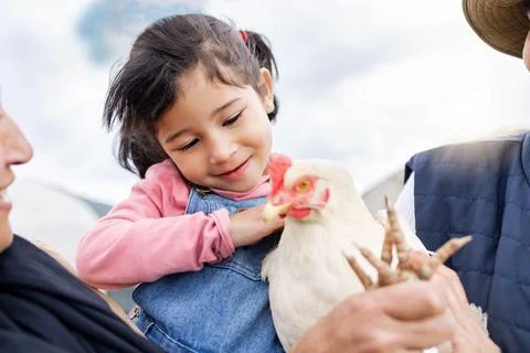 Farm, agriculture and girl and chicken in countryside for farming, livestock and Stock Photos