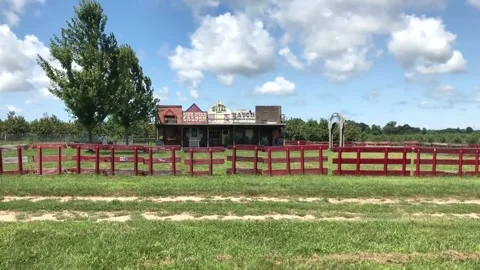 Farm Agritainment time lapse Stock-Footage 205427438