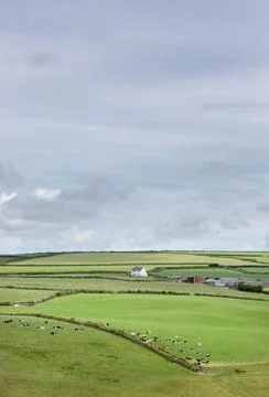 Farm and cows in patchwork landscape near exmoor Stock-Fotos