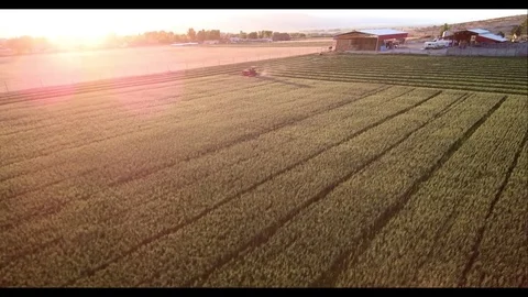 Farm and field Stock Footage 74903353