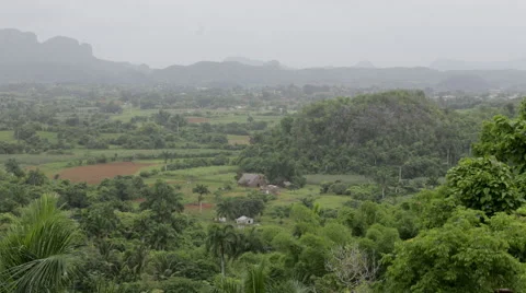 Farm and Fields in Cuba Stock Footage 42935811