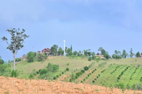 Farm and fields Stock Photos