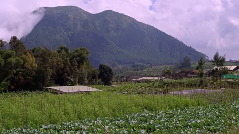 Farm and a Mount Stock Footage 276734696