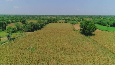 Farm and small river Stock Footage 218288868