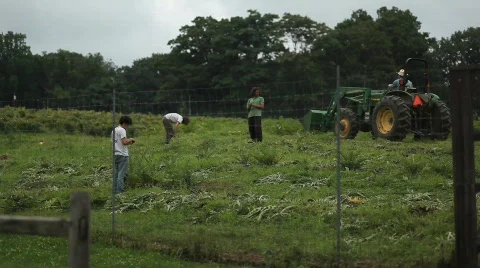 Farm and Tractor 動画素材 594743