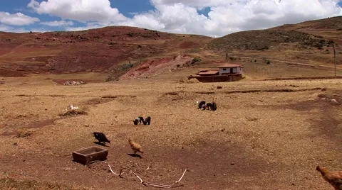 Farm in the Andes of Peru Stock Footage 48710557