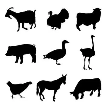 Farm animals collection Stock Illustration