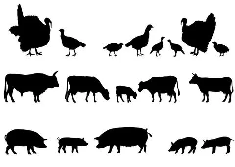 Farm animals collection Stock Illustration