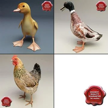 free 3d models animal