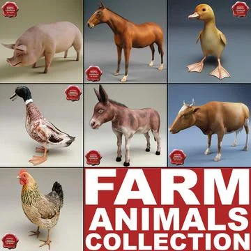 Farm Animals Collection V3 3D Model
