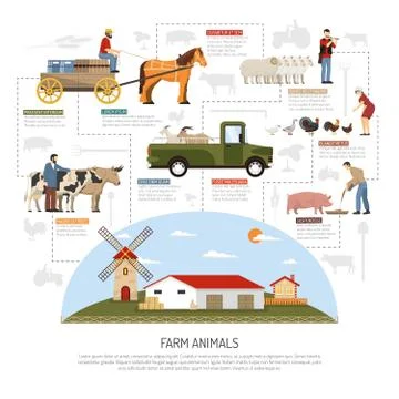 Farm Animals Flowchart Concept Stock Illustration