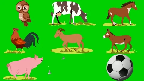 Farm animals on green screen featuring owl cow horse rooster goat donkey pig 库存影片 334704336