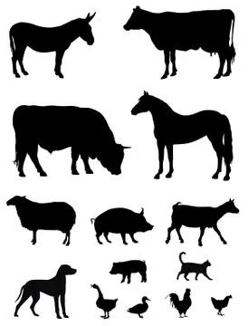 Farm animals Stock Illustration