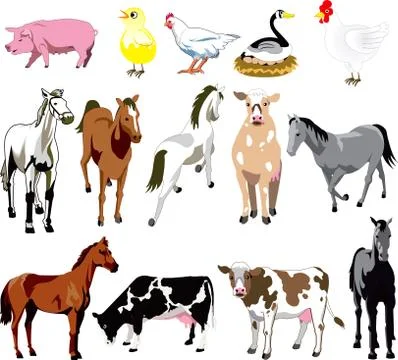 Farm Animals Stock Illustration