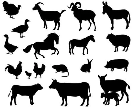 Farm animals Stock Illustration