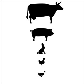 Farm animals Stock Illustration
