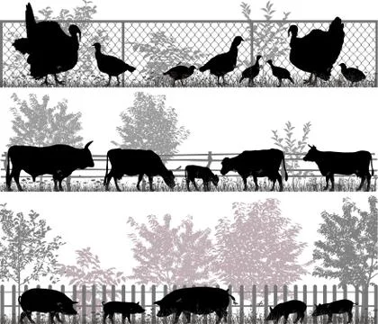 Farm animals Stock Illustration