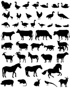 Farm animals Stock Illustration